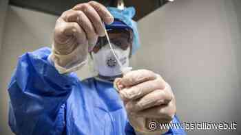 Covid, Catania peggio di Palermo - lasiciliaweb | Notizie di Sicilia