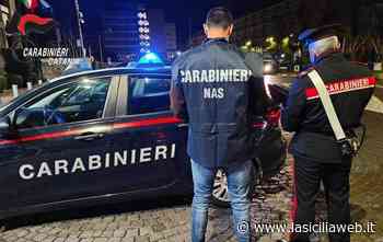 Nas Catania, sequestri e denunce - lasiciliaweb | Notizie di Sicilia