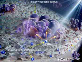 Papier oder Plastik?