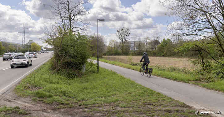 Heidelberg:  Rohrbacher Hundewiese bekommt erstmal keine Parkplätze