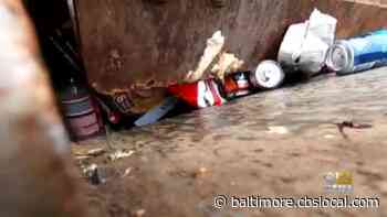 DPW Says Temporary Reduction Of Recycling Collection Has Improved Efficiency - CBS Baltimore