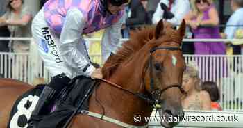 Horse racing tips and best bets from Ripon, Stratford, Naas and Killarney - Daily Record