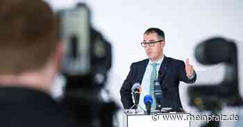 Änderung beim Waldgesetz - Unterstützung für Waldbesitzer - Wirtschaft - Rheinpfalz.de