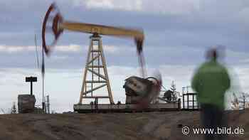 Deutscher Russland-Handel kollabiert – trotzdem Rekord-Import - Wirtschaft - Bild.de - BILD