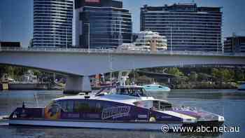 Ferry terminals to reopen across Brisbane, 90 days after floodwaters pulled debris through the city's centre