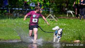 Schwimmen, Radeln, Laufen: Erster Hundetriathlon in der Heide - NDR.de