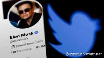 Wegen Fake-Accounts: Musk will günstigeren Deal für Twitter