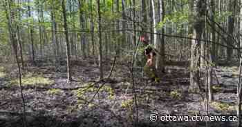 Ottawa fire: Fire burns brush in Cumberland, Ont. | CTV News - CTV News Ottawa