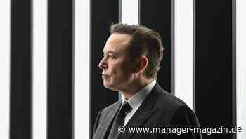 Twitter: Elon Musk feilscht um den Preis für die Übernahme