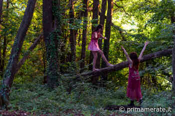 Torna il festival "Il giardino delle esperidi" - Prima Merate
