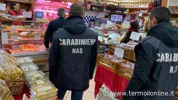 Carabinieri del Nas in Molise: in soli quattro mesi 24 denunce e quasi 200 segnalazioni - Termoli Online