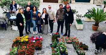 Sora, “Balconi e Vicoli in Fiore 2022”: premiate Milena Tedesco e Serena Incani - Sora24