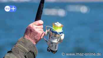 Gransee: Angler fischt Geldwechselautomaten aus dem Wasser - Märkische Allgemeine Zeitung