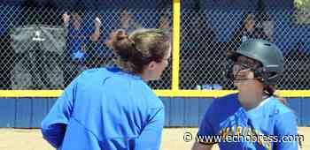 Softball: Brandon-Evansville finds its footing in victories over Ortonville - Alexandria Echo Press