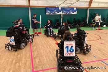 Oltre Sport conclude l'esperienza alla Final Four di Jesolo - BisceglieViva