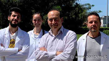 Malattie genetiche rare: a due ricercatori pisani il contributo di Fondazione Telethon - PisaToday