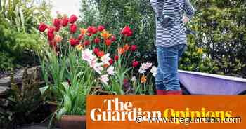 You can be a great gardener without lifting a finger! Just ask my friends on Twitter - The Guardian