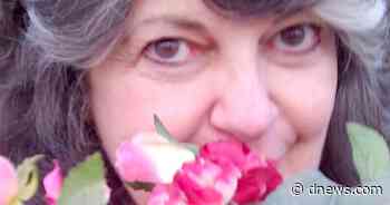 Impetuous Gardener: Finally evicting tomatoes from the living room - Moscow-Pullman Daily News