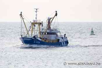 Belgische vissers halen 65 ton vuilnis uit Noordzee: 'Maatschappij moet beseffen dat afval dumpen not done is' - De Standaard