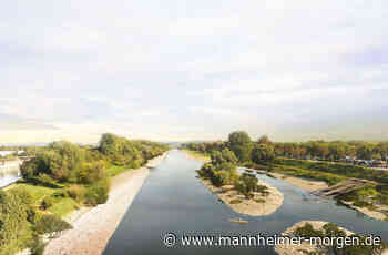 Renaturierung des Mannheimer Neckarlaufs: Schluten, Inseln und ein neues Naturerlebnis - Mannheim - Nachrichten und Informationen - Mannheimer Morgen