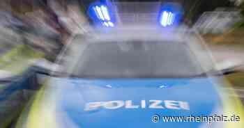 Fünfjähriger Junge macht Hauptbahnhof unsicher - Mannheim - DIE RHEINPFALZ - Rheinpfalz.de