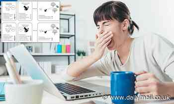 Yawning evolved as a social cue to warn others we are less alert, study says