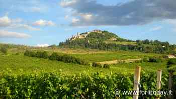 Torna a Bertinoro la camminata della Resistenza tra campagna e racconti - ForlìToday