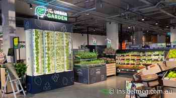 Woolworths Metro launches in-store vertical farm - Inside FMCG