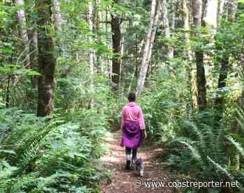Elphinstone Chronicles: Here are some popular hikes in our area - Coast Reporter