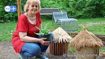 Rathenow: Pflanztag zum Saisonstart im Gambischen Garten im Optikpark Rathenow - Märkische Allgemeine Zeitung