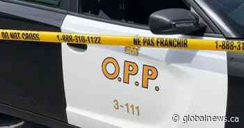 OPP say 2022 has so far been deadliest year on highways since 2012