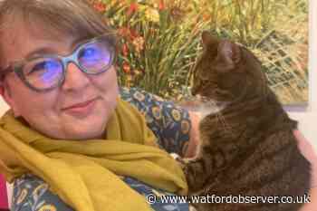 Rickmansworth cat rescue centre 'desperate' for funds