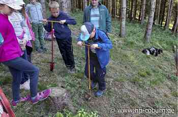 Pflanzmarathon in Wallenfels - Das schönste Klassenzimmer der Welt - Neue Presse Coburg