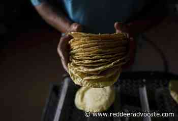 Pricey tortillas: LatAm’s poor struggle to afford staples - Red Deer Advocate