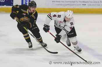 Red Deer Rebels defenceman Christoffer Sedoff wants to stay in North America – Red Deer Advocate - Red Deer Advocate