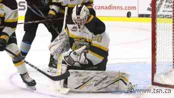 Wheat Kings even up series with OT win over Rebels - TSN