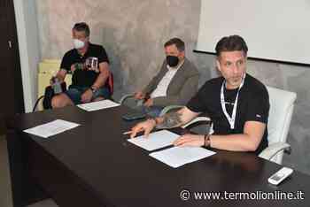 Galassia Stellantis: tra ritorno alla normalità, crisi produttiva e prospettive Gigafactory - Termoli Online