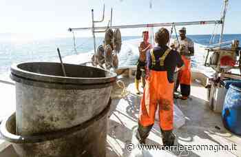 Cesenatico: al lavoro per liberare il mare dalla plastica - CorriereRomagna
