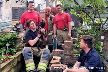 Bexley: Erith firefighters rescue dog
