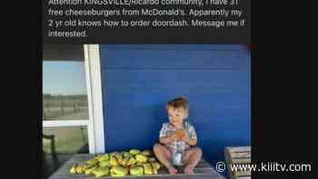 2-year-old Kingsville boy has 31 cheeseburgers delivered by Door Dash without mothers knowledge - KIIITV.com