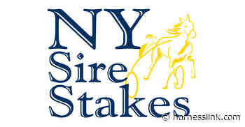 One NYSS dash for $115600 at Buffalo - Harnesslink