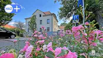 Springe: So teuer werden die städtischen Bauprojekte - HAZ