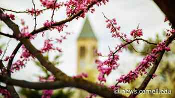 Arts and Sciences faculty honored for teaching, advising excellence | Cornell Chronicle - Cornell Chronicle
