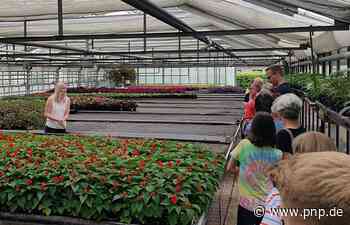 250000 Pflanzen im Jahr: Auftakt der "Grünen Woche" in der Stadtgärtnerei - Passauer Neue Presse - PNP.de