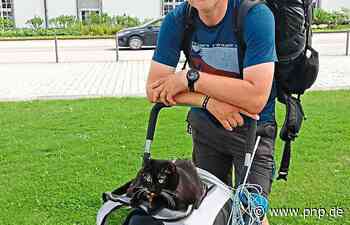 Mit Katze samt Klo auf Wanderschaft - Passau - Passauer Neue Presse - PNP.de