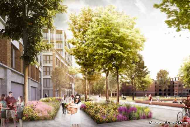 Buurt kant zich tegen “megalomaan bouwproject” Mariahof: Stad keurt omgevingsvergunning toch goed