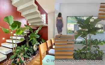 13 ideias de jardim embaixo da escada interna para se inspirar! - Casa e Jardim