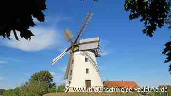 Zum Mühlentag sind Mühlen in Räbke und Wendhausen geöffnet