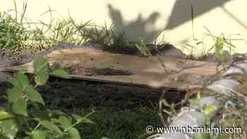 Woman Charged After Man's Body Found Buried in Shallow Grave at Miami Gardens Home