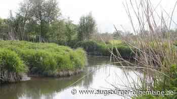 Aichach: Leiche aus der Paar obduziert: Polizei sieht kein Anzeichen für Kapitaldelikt | Aichacher Nachrichten - Augsburger Allgemeine